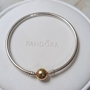 Pandora Silver and Gold Bracelet